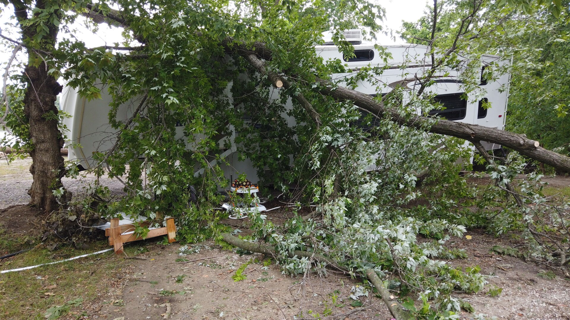 Camper at Cooper's Landing affected from falling tree branches, 2 of 2